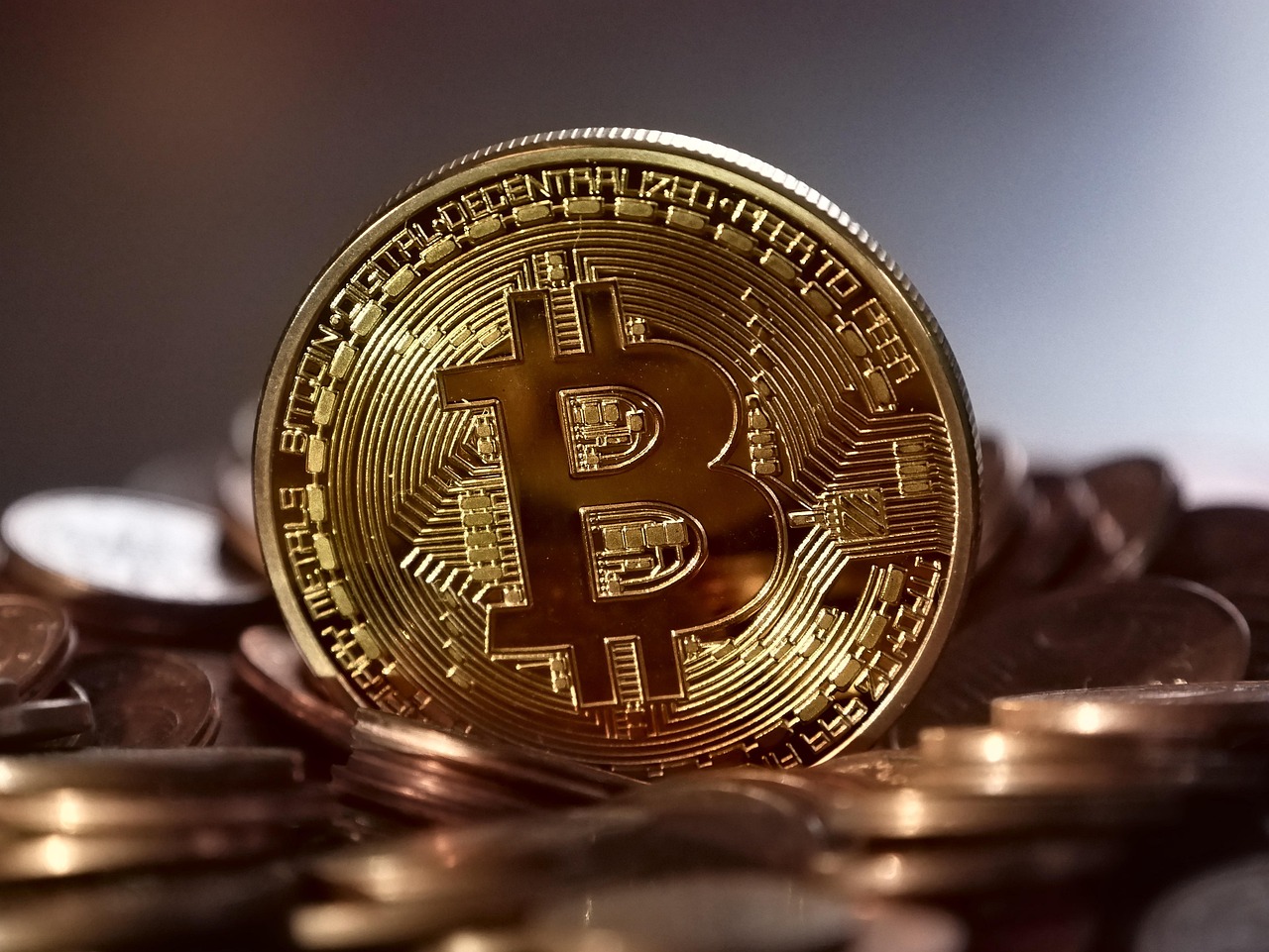 Secure Early Entry and Potential Rewards Through Lilpepe Presale