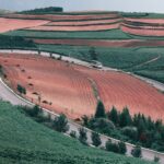 Agricultural AI models: The Best Proven Solutions for India