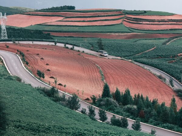 Agricultural AI models: The Best Proven Solutions for India