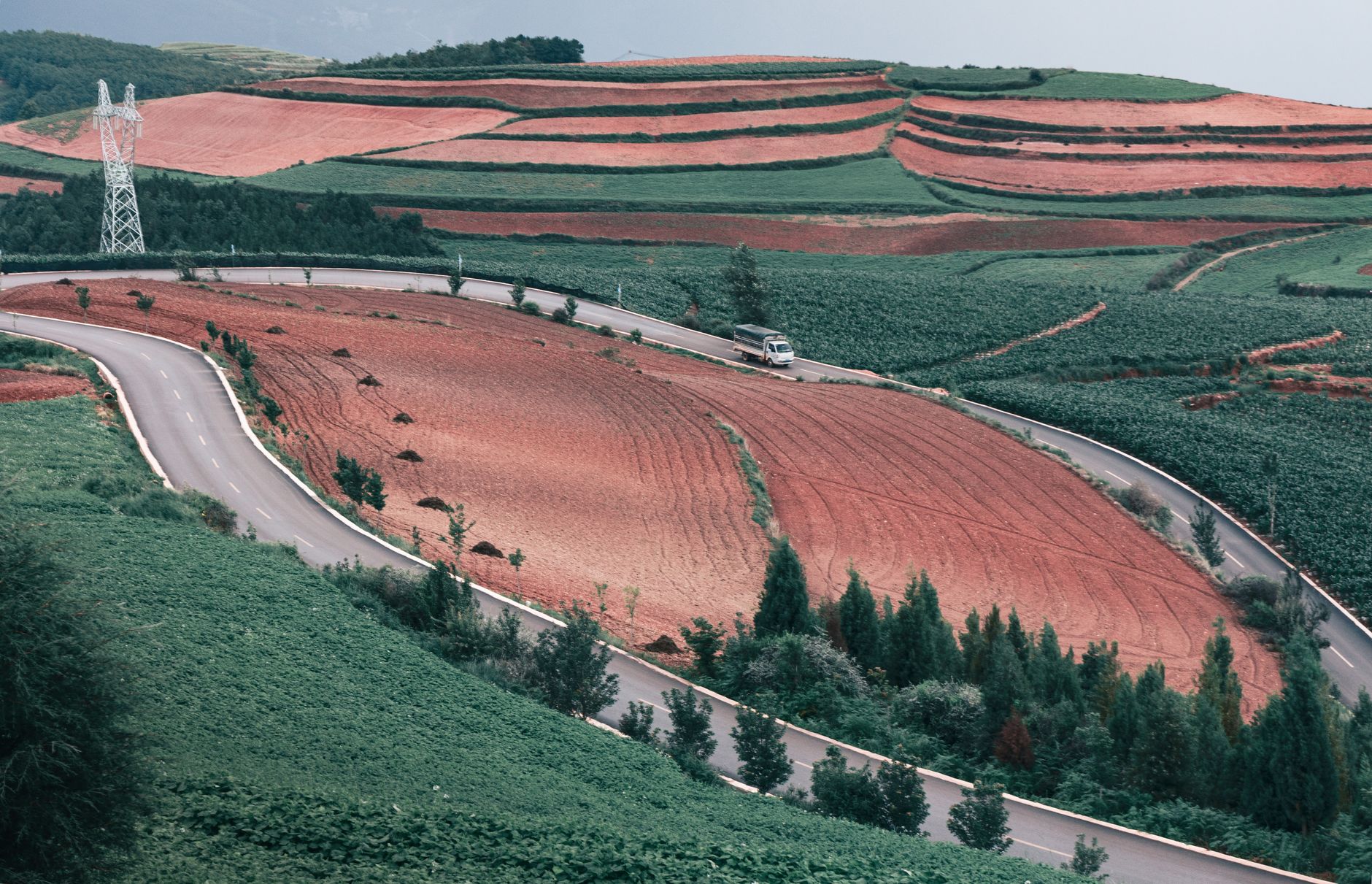 Agricultural AI models: The Best Proven Solutions for India