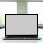 How Should Users Evaluate and Navigate a Professionally Organized Online Address List?