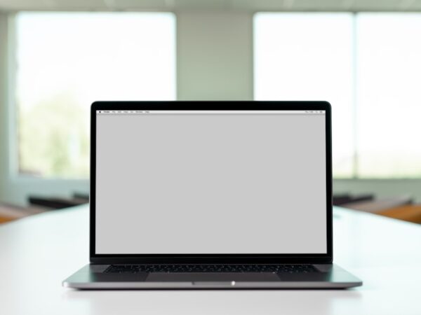 How Should Users Evaluate and Navigate a Professionally Organized Online Address List?